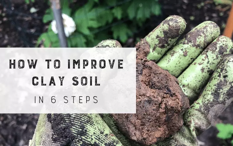 how to improve soil quality how to improve soil quality