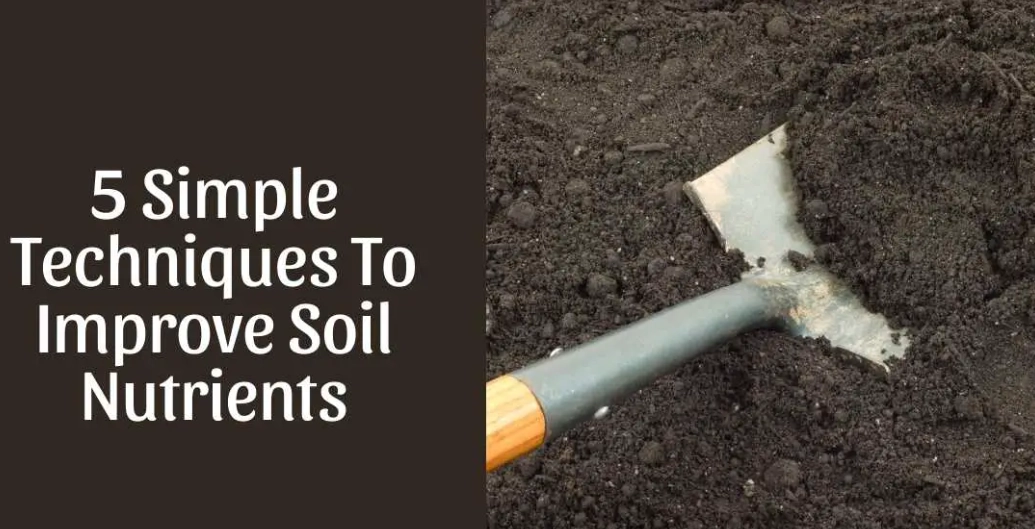 how to improve soil quality