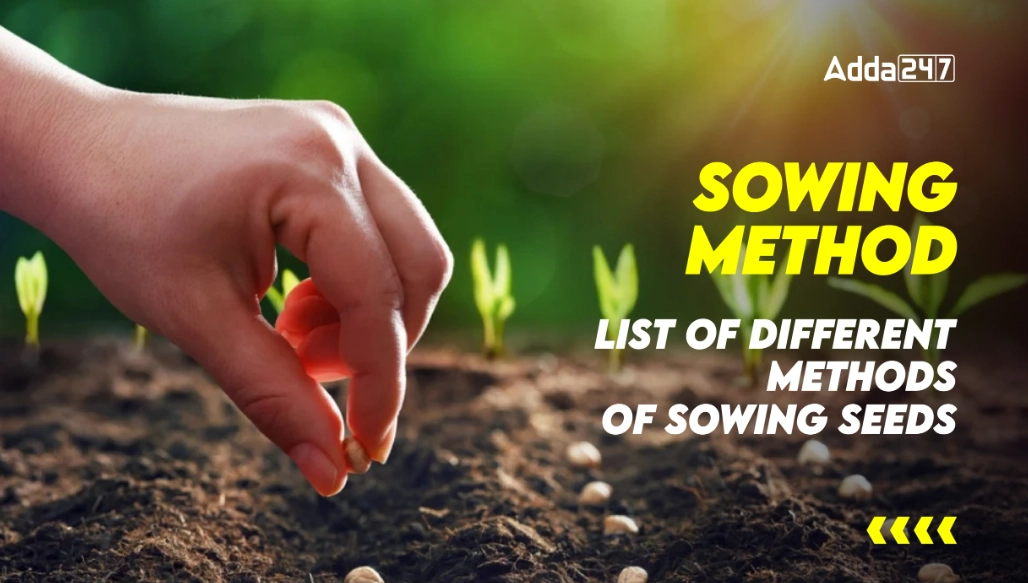 best time to sow seeds