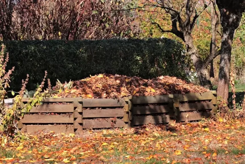 lawn compost application lawn compost application