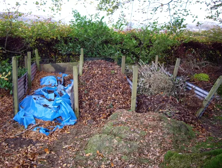 how to use compost on lawn how to use compost on lawn