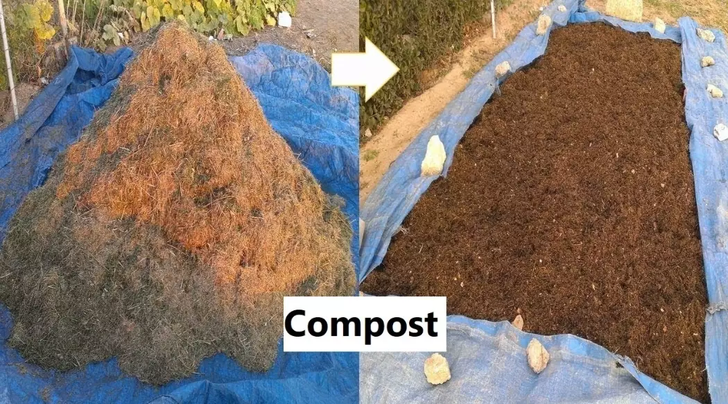 lawn compost application lawn compost application
