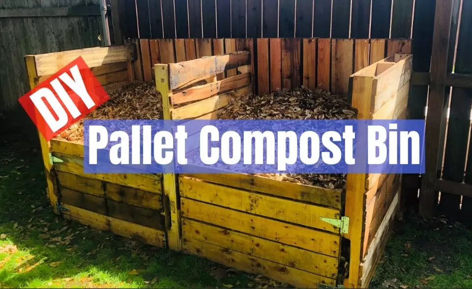 pallet compost bin DIY