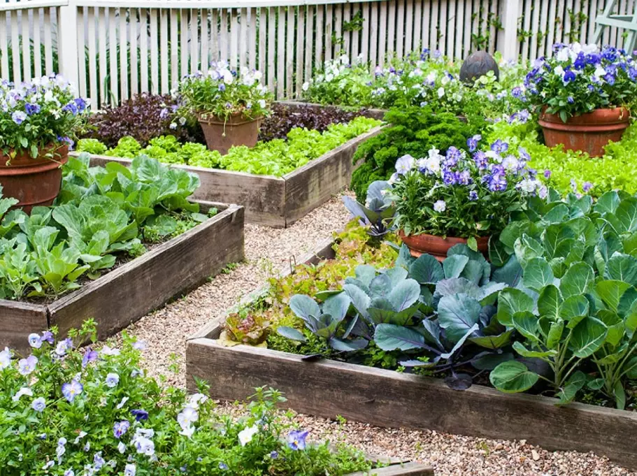 raised garden bed ideas
