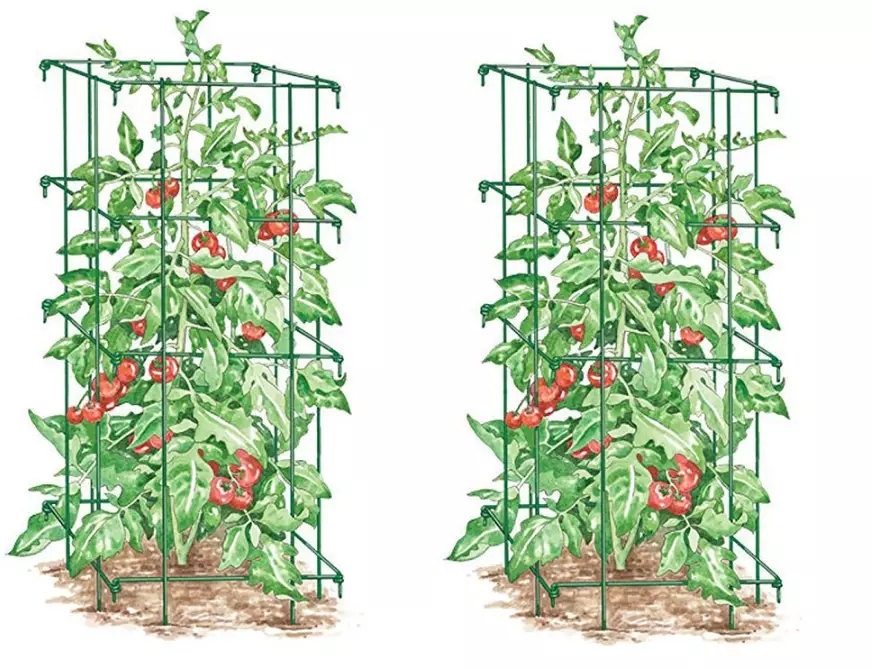 garden tomato stakes
