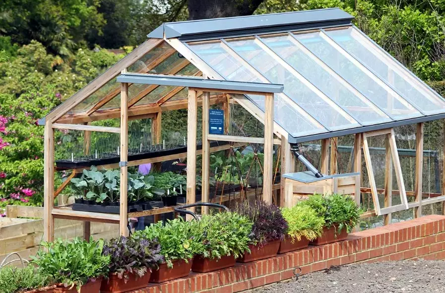 greenhouse gardening for beginners
