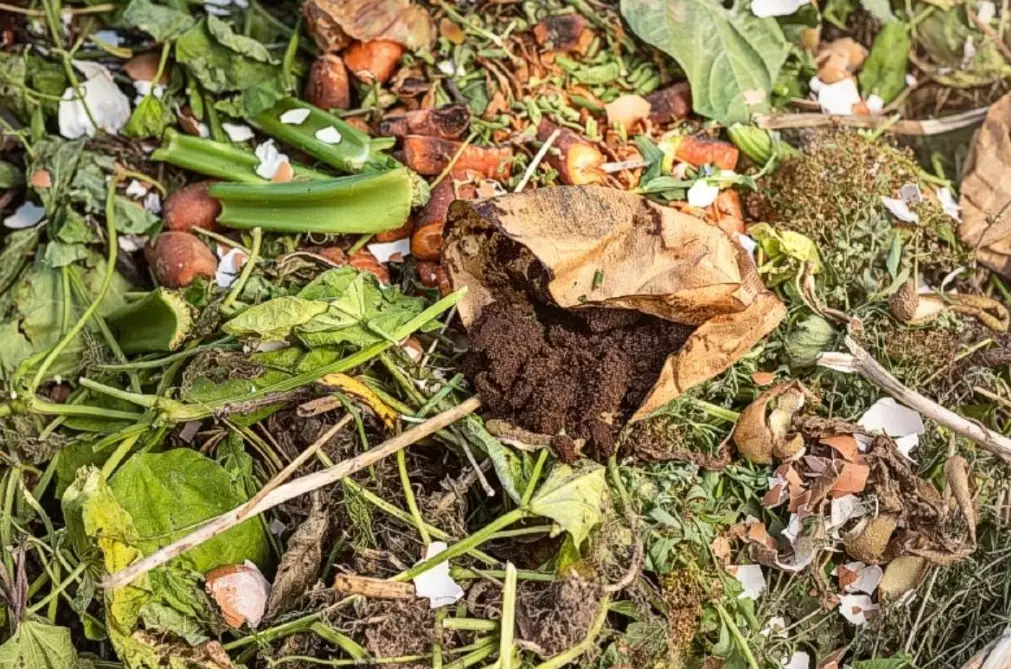 coffee grounds compost coffee grounds compost