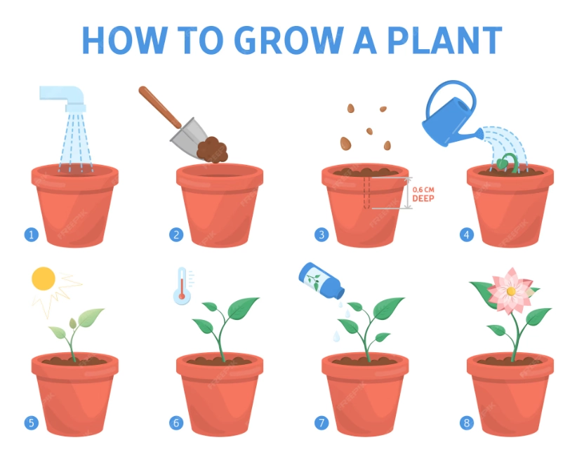 flower gardening tips