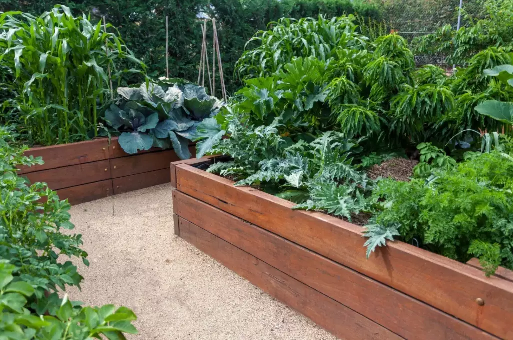 how to build a raised bed