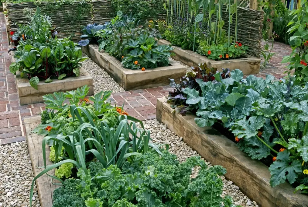 raised garden bed ideas
