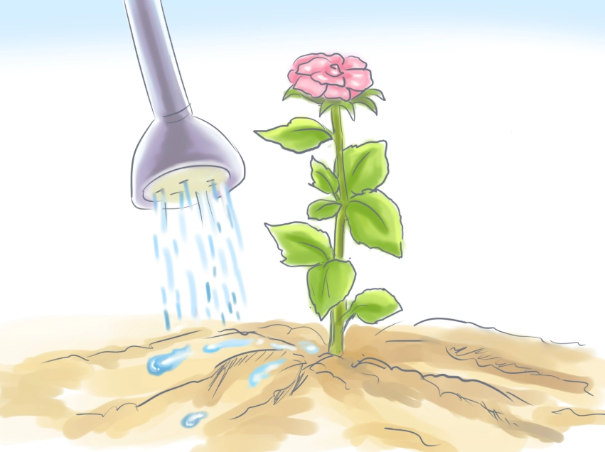 flower gardening tips