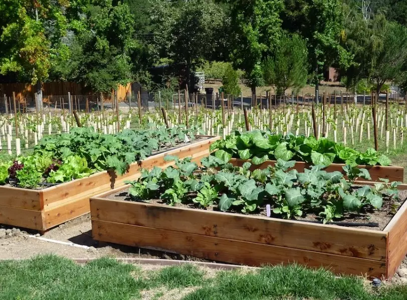 small space gardening
