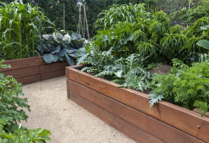 small space gardening