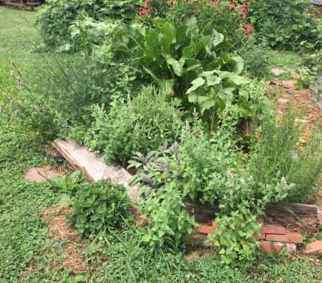 raised bed gardening