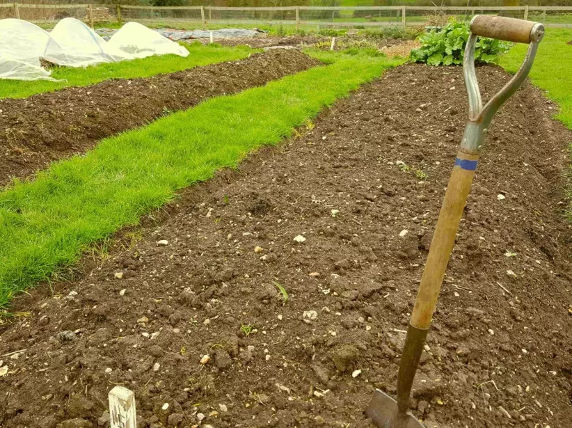 how to improve garden soil