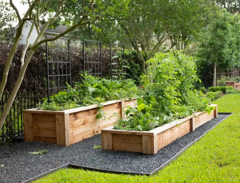 best soil for raised beds
