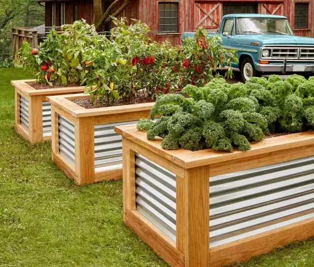 how to build a raised garden bed
