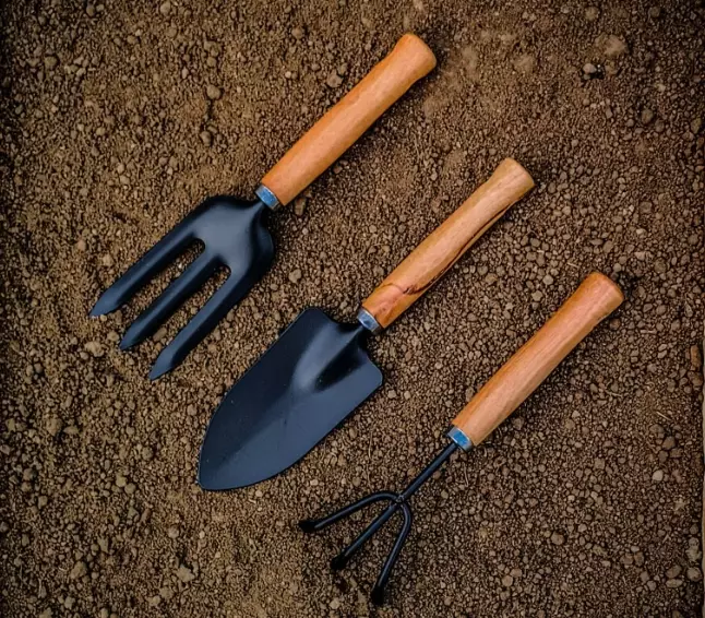 how to organize a tool shed