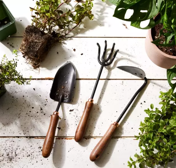 essential garden tools list