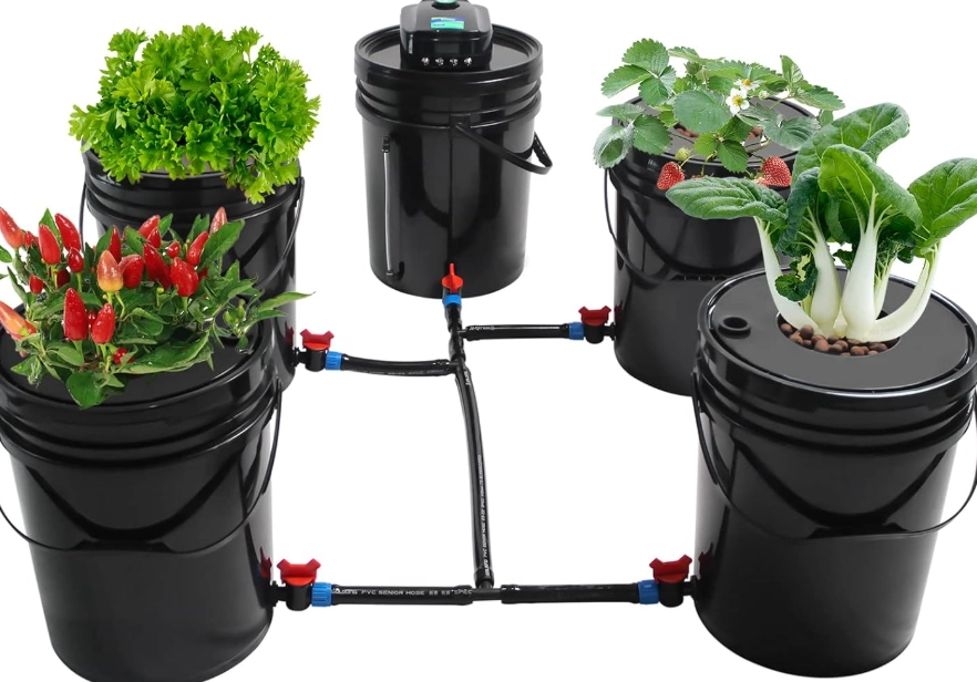 nutrient solution management